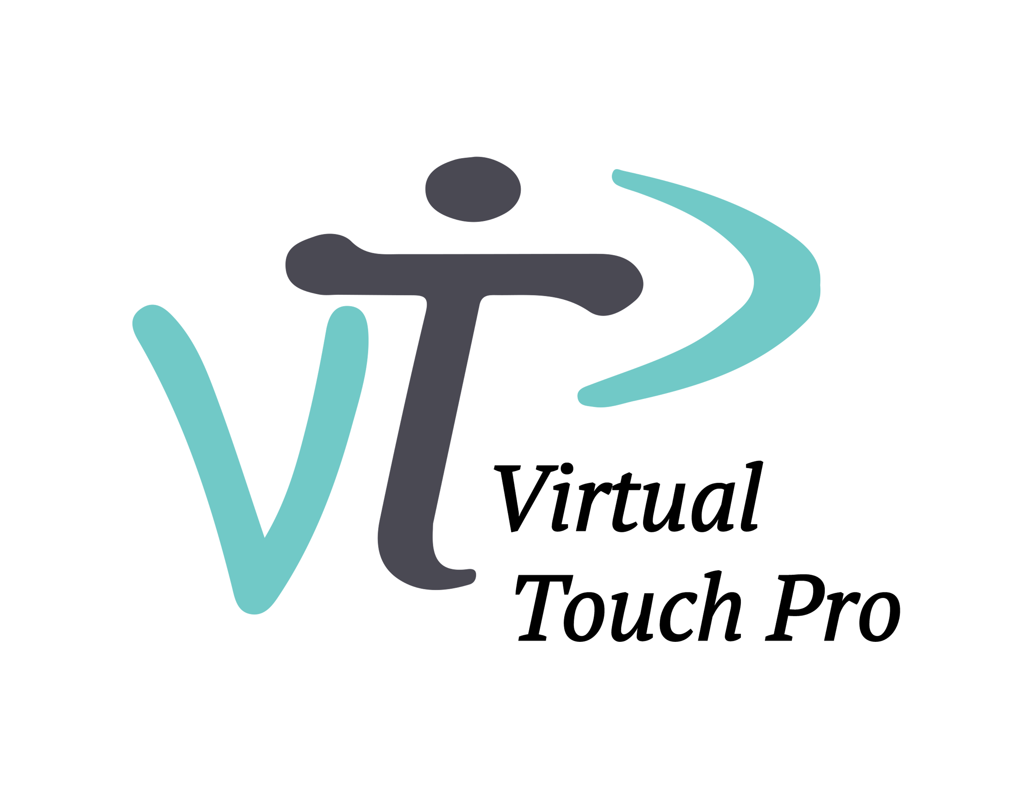 Virtual Touch Pro Logo